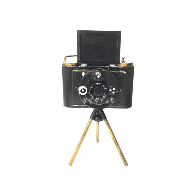 Metallic Vintage Camera Model