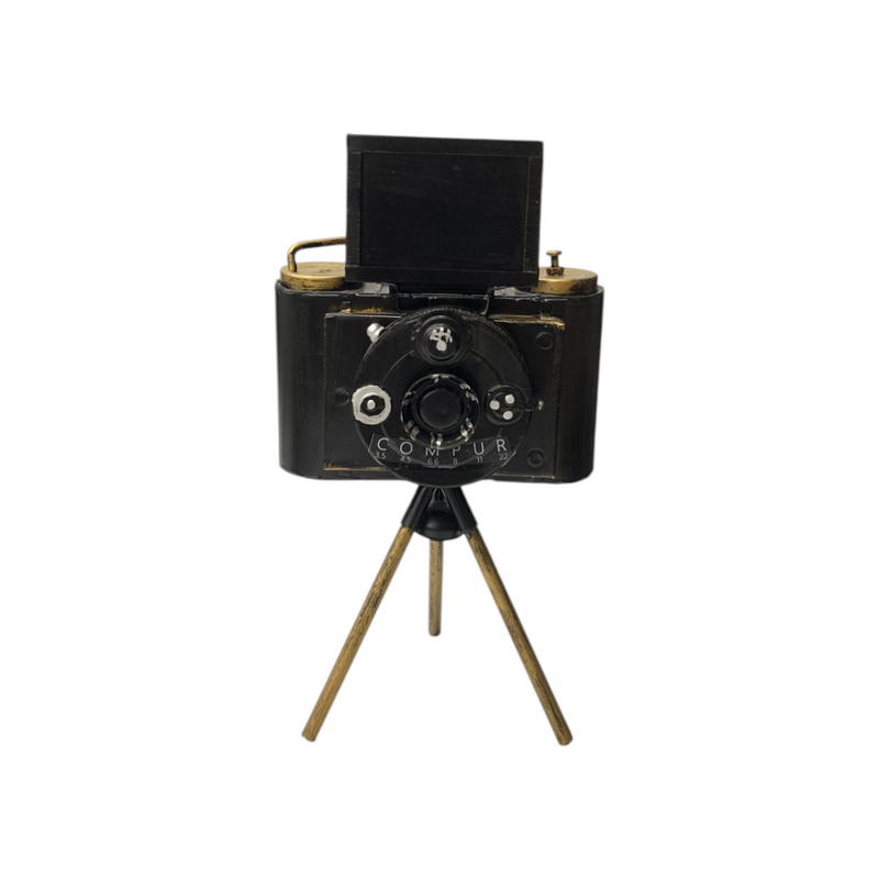 Metallic Vintage Camera Model