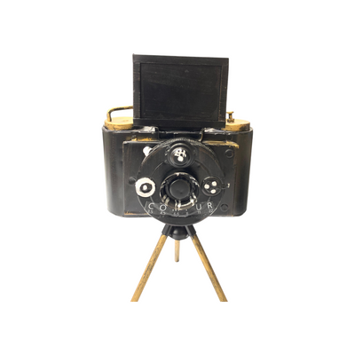 Metallic Vintage Camera Model