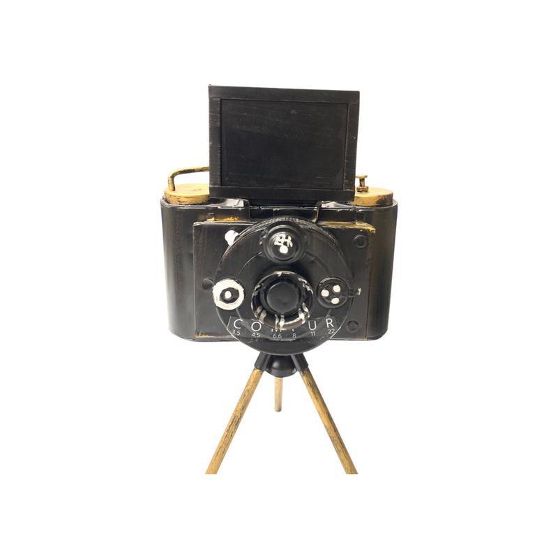 Metallic Vintage Camera Model