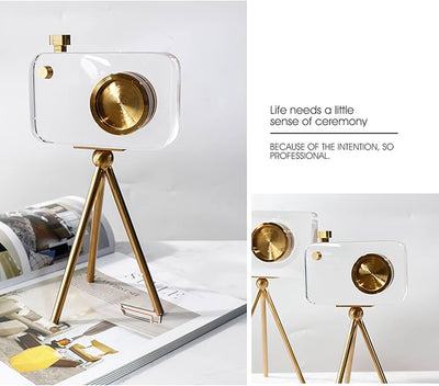Crystal Vision Camera Decor