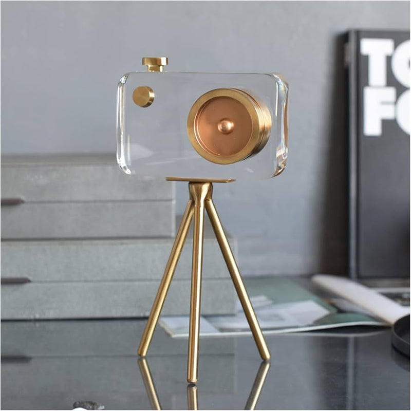 Crystal Vision Camera Decor