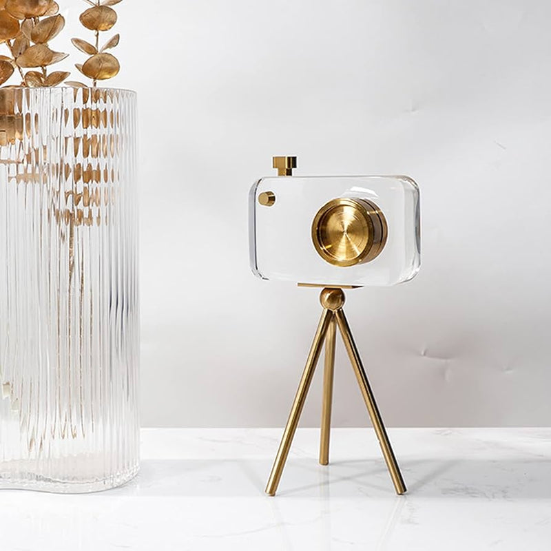 Crystal Vision Camera Decor