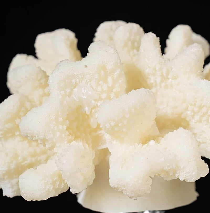 Elegant Resin Coral Decorative Sculptures