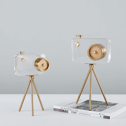 Crystal Vision Camera Decor