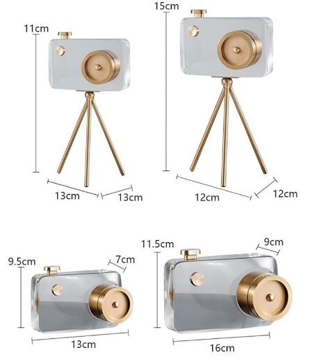 Crystal Vision Camera Decor